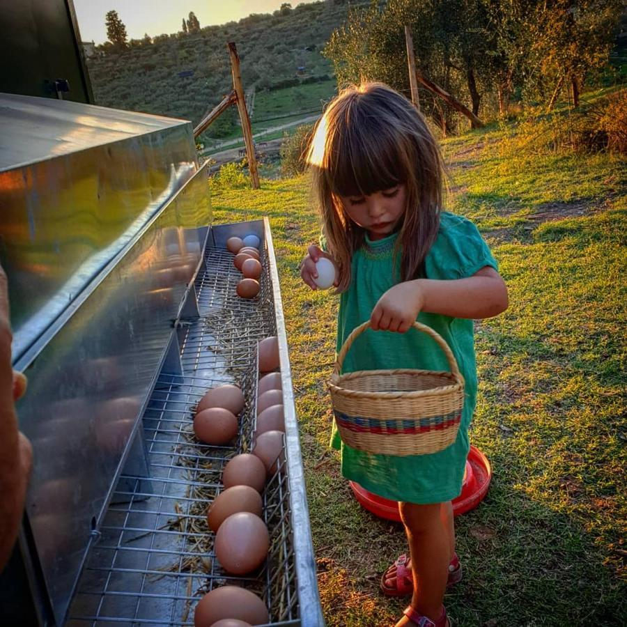 Fattoria Di Maiano ξενώνας Φιέζολε Εξωτερικό φωτογραφία