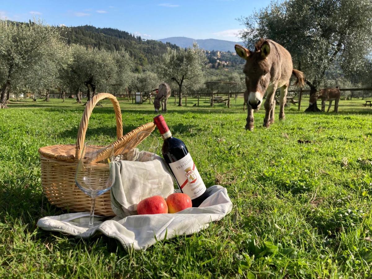 Fattoria Di Maiano ξενώνας Φιέζολε Εξωτερικό φωτογραφία