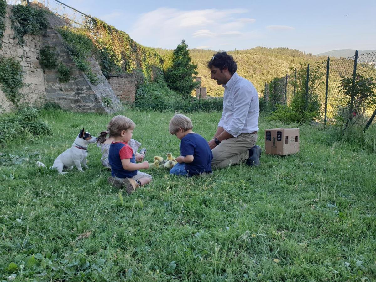 Fattoria Di Maiano ξενώνας Φιέζολε Εξωτερικό φωτογραφία