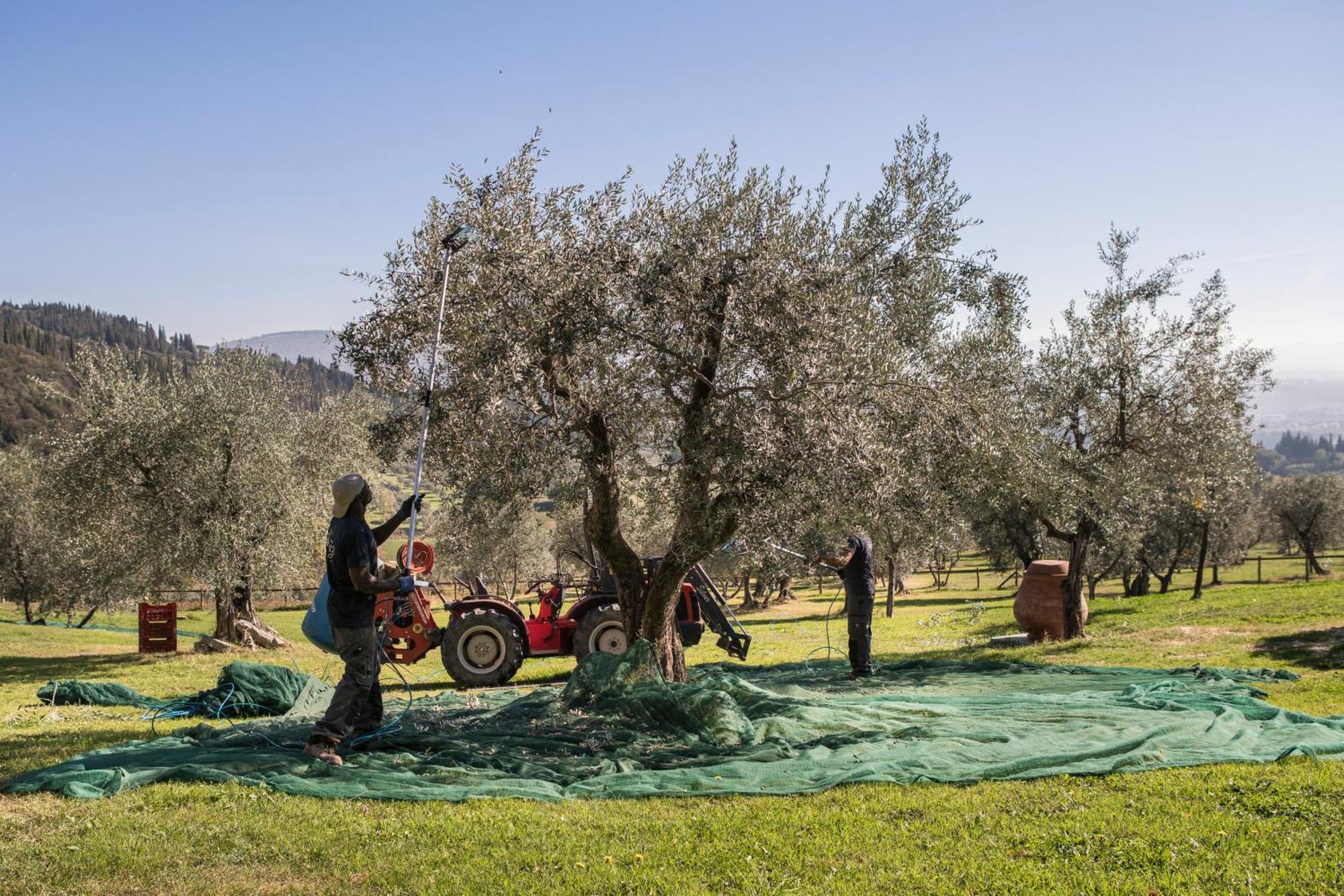 Fattoria Di Maiano ξενώνας Φιέζολε Εξωτερικό φωτογραφία